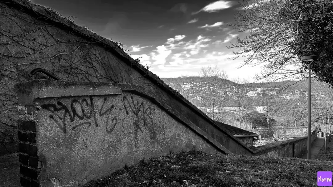 cemetery of Mont Gargan, monochrome
